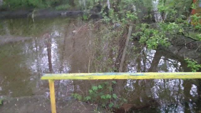 дикие утки в пруду на даче смотреть онлайн