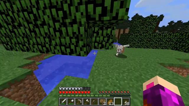 On An Explore: Dogs!, Swamp, & Savannah | We Got Skills | Minecraft Tutorials #9 смотреть онлайн