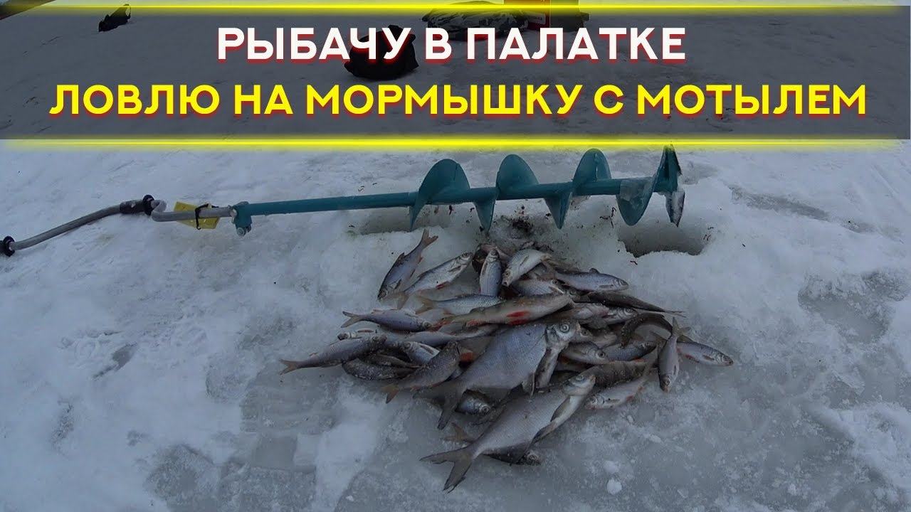 Плотва, окунь, густера на мормышку зимой. Рыбалка в палатке зимой