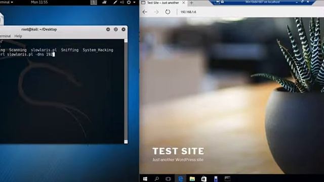 Ethical Hacking Course: Module 10 - Denial of Service Lab Session смотреть онлайн