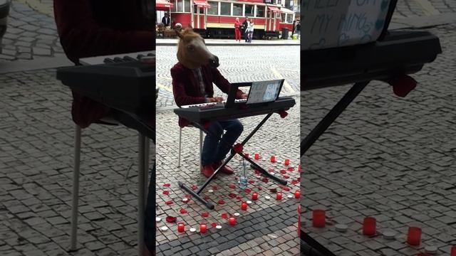 Звезда Вацлавской площади смотреть онлайн