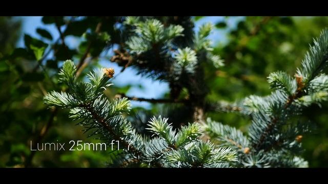 Helios 44-2 vs. Lumix 25 f1.7 | 4K смотреть онлайн