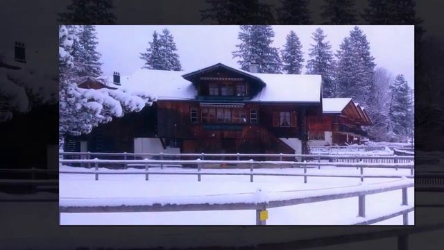 Профилированный брус из кедра, основные достоинства. смотреть онлайн