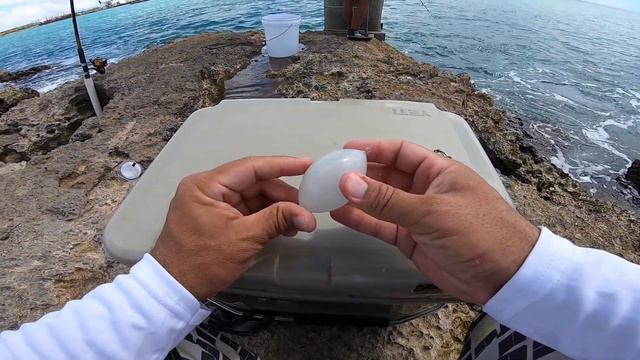 Whipping Tips And Tricks | Tackle Tip | Knot Tying | Fishing In Hawaii | Hawaii Fishing