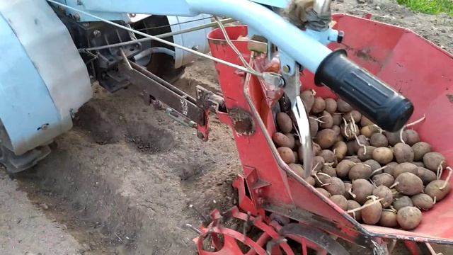 Посадка бульбы 2020. смотреть онлайн