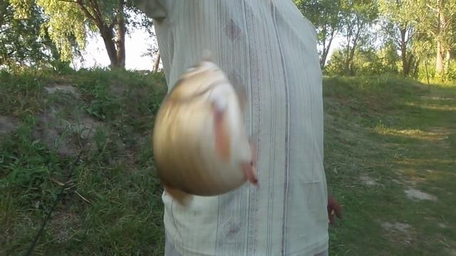 Рыбалка под Броварами 24-25.06.2015 смотреть онлайн