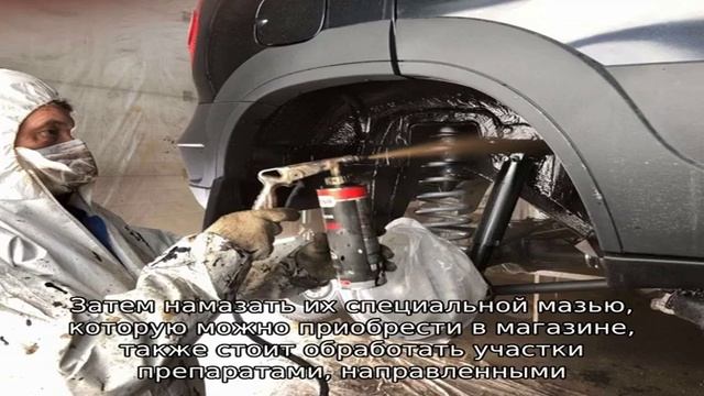 Заболевания декоративных кроликов смотреть онлайн