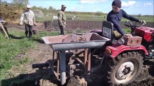 Посадка картофеля минитрактором синтай 220