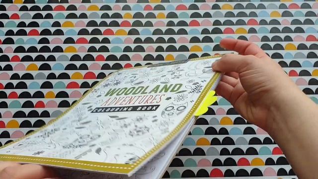 Обзор на Раскраски Антистресс "Color me London/New York/Paris/Cities" смотреть онлайн