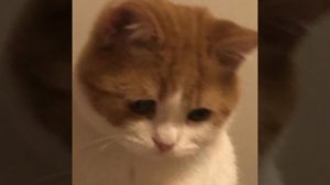 Oh my baby my baby x I bet on losing dogs