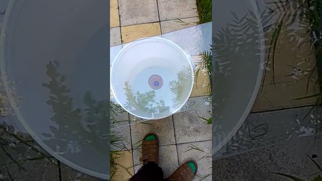 Взаимодействие магнита из неодима и Земли 2