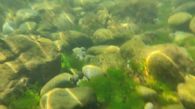 Крым : Гурзуф, Чеховский пляж смотреть онлайн