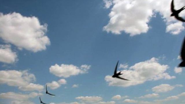 ЗА ОКНОМ СНЕГ СЛЯКАТЬ И ХОЛОД НО ВЕСНА ВСЕТАКИ НАСТУПИЛА смотреть онлайн