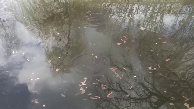 Угодаете что за место? Г. Ставрополь. 21.03.2023.г прогулка по територии ........ смотреть онлайн