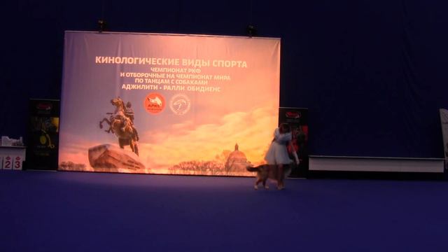 Открытый-Фристайл - Голубева Анетта  и Австралийская овчарка  Яркая удача Алдар