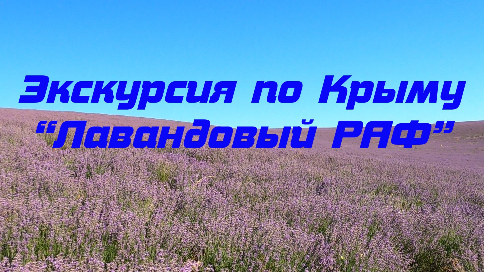 Экскурсия по Крыму "ЛАВАНДОВЫЙ РАФ".