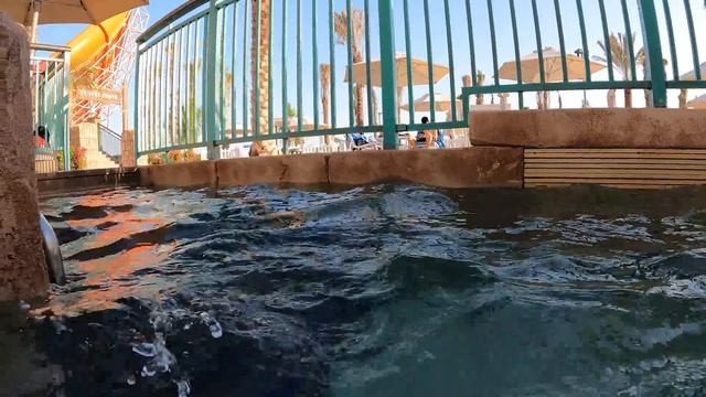 Aquaventure Waterpark - New Water Slides (Atlantis The Palm Dubai)