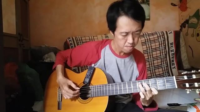 Wake Me Up When September Ends | Fingerstyle Guitar Cover смотреть онлайн