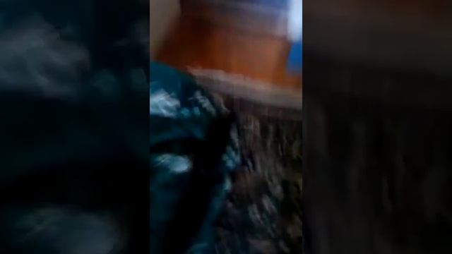 как приготовить яичнецу и играем в игры смотреть онлайн