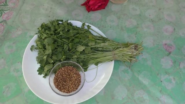 КИНЗА.Кому поможет.Рецепты применения при цистите,эпилепсии... смотреть онлайн