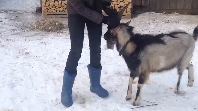 Колка дров и не только... смотреть онлайн
