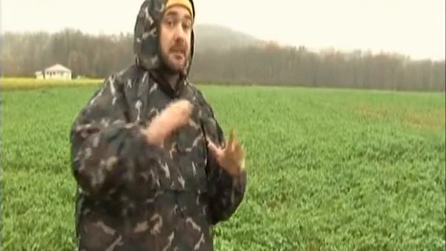 Планета собак 2011. Гриффон. Корталь. Франция смотреть онлайн