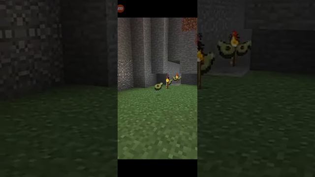 Avocados From Mexico авокадо только Minecraft