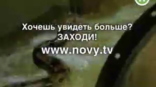 Новый Канал запускает сразу 5 новых Шоу!!! смотреть онлайн