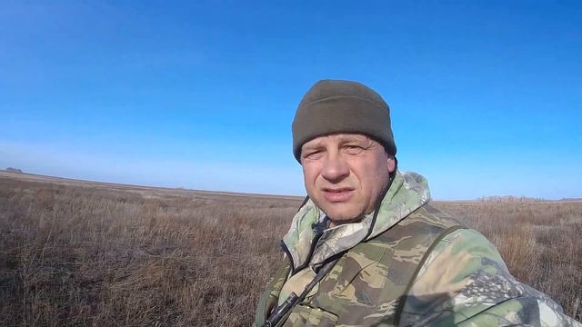 Охота на зайца по чернотропу с дратхааром. смотреть онлайн