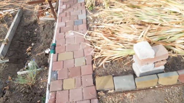 Окончательный результат выращивания саженцев 🍇 в школке 20.10.2021г смотреть онлайн