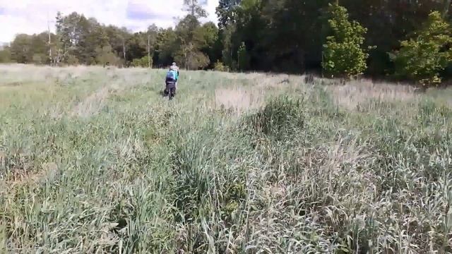 2020-06-03 Брест - Пожежин-родник - Дуб-Патриарх -- Царь-Дуб смотреть онлайн