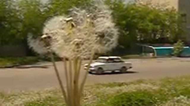 Slow смотреть онлайн