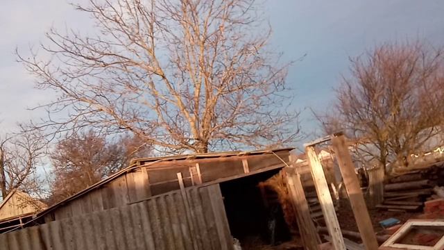 Твари обнаглели!!! Одна на хозяйстве.Живём в деревне. смотреть онлайн