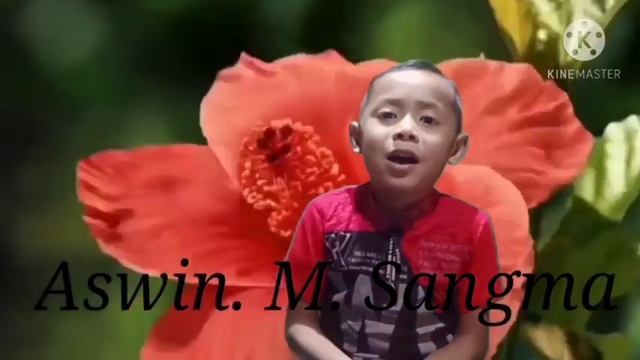 Babuni git ringa смотреть онлайн