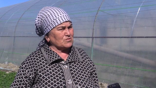 Tomorqadan unumli foydalanish(Buxoro) смотреть онлайн