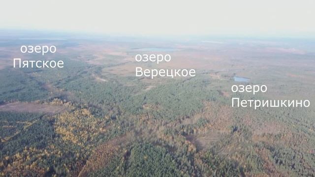 Места грибные. Группа Доверие (название песни по вконтакт) смотреть онлайн