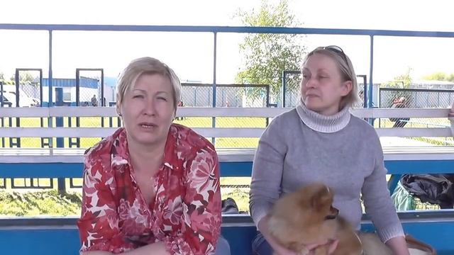 Днепропетровск, выставка собак 10 МАЯ 2014 ГОДА САС UA ЗВЁЗДЫ ДНЕПРА 2014 смотреть онлайн