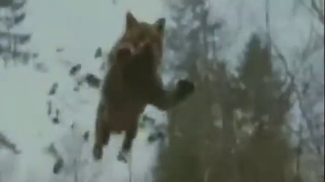 Работа не волк, работа ВОРК смотреть онлайн