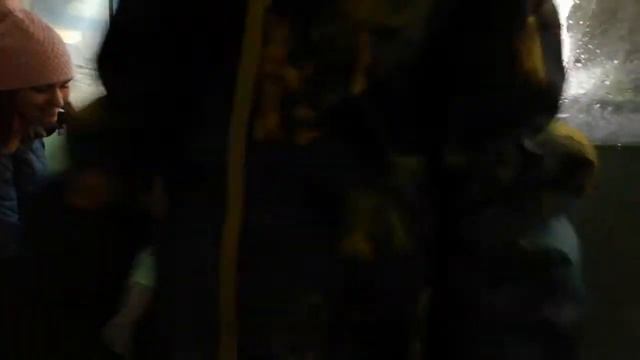 ПИНГВИНЫ ПЛАВАЮТ 🐧 смотреть онлайн