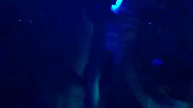 Вечеринка в баре Ферма Дэнс. 5 утра. смотреть онлайн