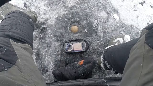 ДЕНЬ НАЧАЛСЯ С СИГА И ЗАКОНЧИЛСЯ СИГОМ! РЫБАЛКА НА ОНЕЖСКОМ ОЗЕРЕ 2022. СИГ, КИЛЕЦ, ОКУНЬ смотреть онлайн