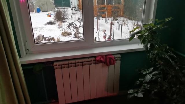 Мои вечерние цветочные новости. Перестановка цветов. Новые цветочки в доме.