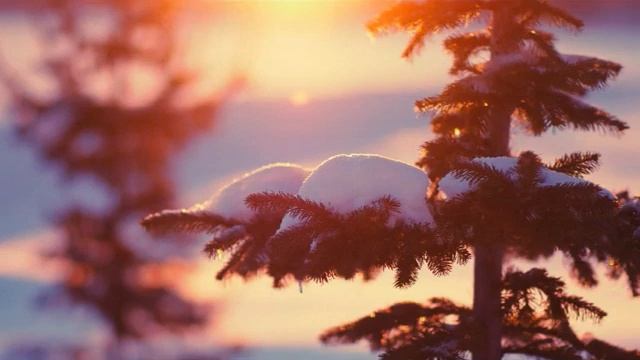 СЛАЙД-ШОУ. ЗИМНЯЯ ПРИРОДА, ФОТО.