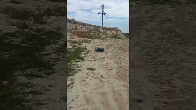 Отправился in search of incredible в окрестностях поселка... Пока встретился с тем,что увидите и вы смотреть онлайн