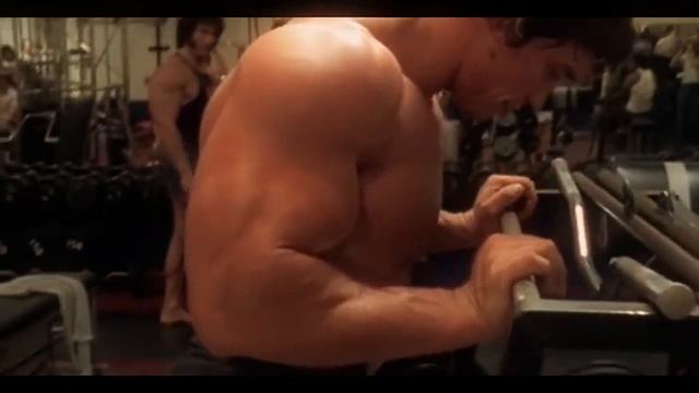 Arnold Schwarzenegger Tribute