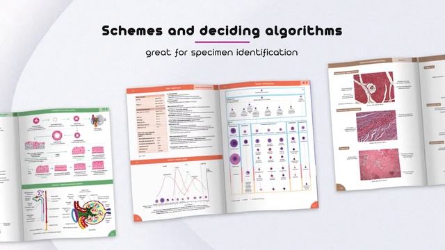 Memorix Histology смотреть онлайн