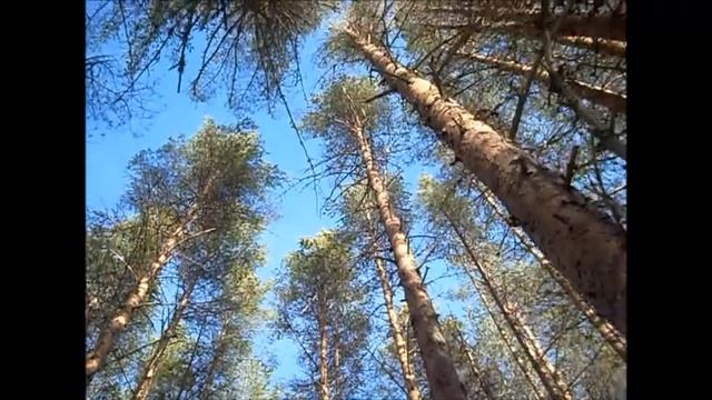 Карелия, люблю тебя. Karelia, love you. смотреть онлайн