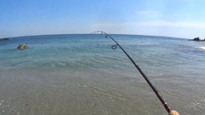 Ловля симы на спининг в горной реке Сахалина. Мальма и одноперый терпуг