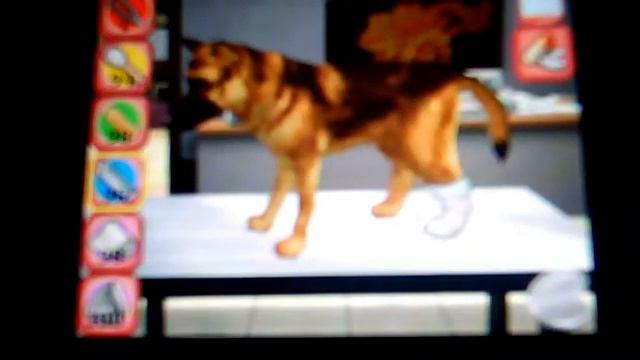 paw and claws pet vet part 3 following after icarly смотреть онлайн