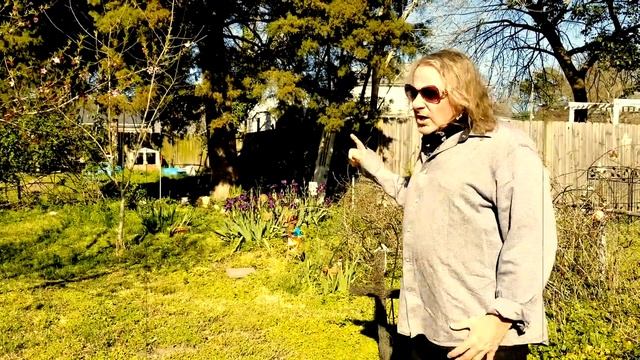 Idle Goes To Msesippi's Rabbit Graveyard & Here's What They Found. Rock & Roll Rescue Rabbits Beyon смотреть онлайн